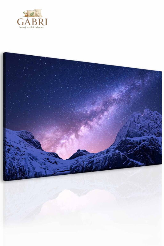 Obraz abstraktní vlčí mandala