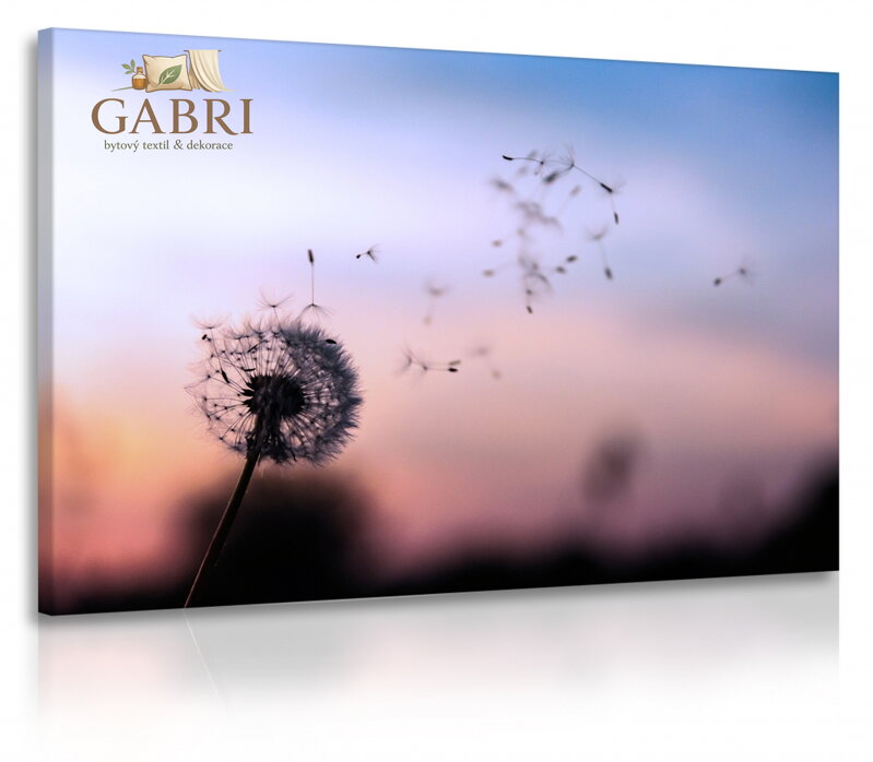 Obraz Okno do ráje lesní pohody