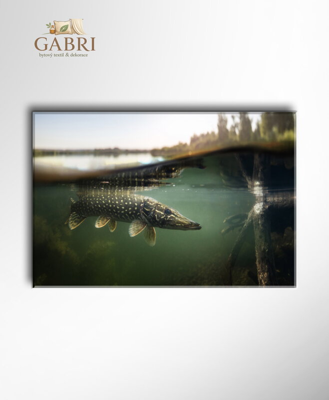 Tapeta Panter s mandalou