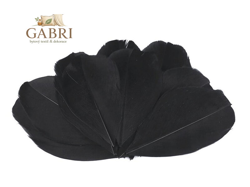 Husí peří délka 5,5-7 cm