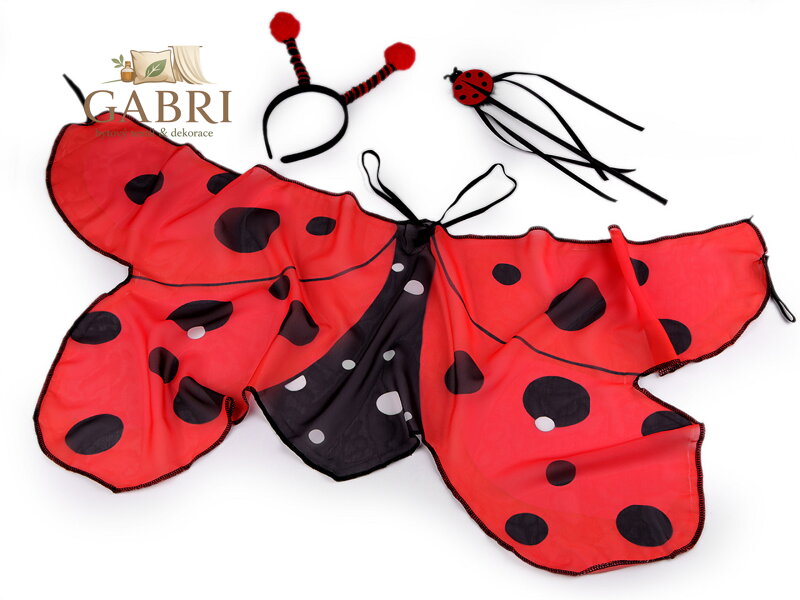 Karnevalový kostým - beruška