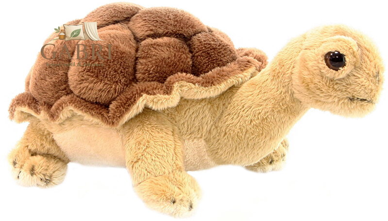 PLYŠ Želva 20cm *PLYŠOVÉ HRAČKY*