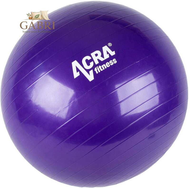 ACRA Míč gymnastický fialový 65cm fitness balon rehabilitační do 130kg