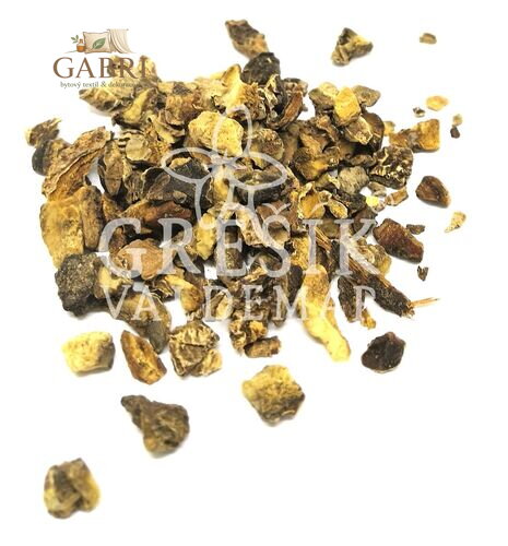 Čertovo kopyto kořen