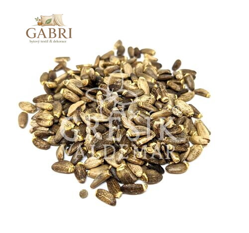 Ostropestřec Marián. plod