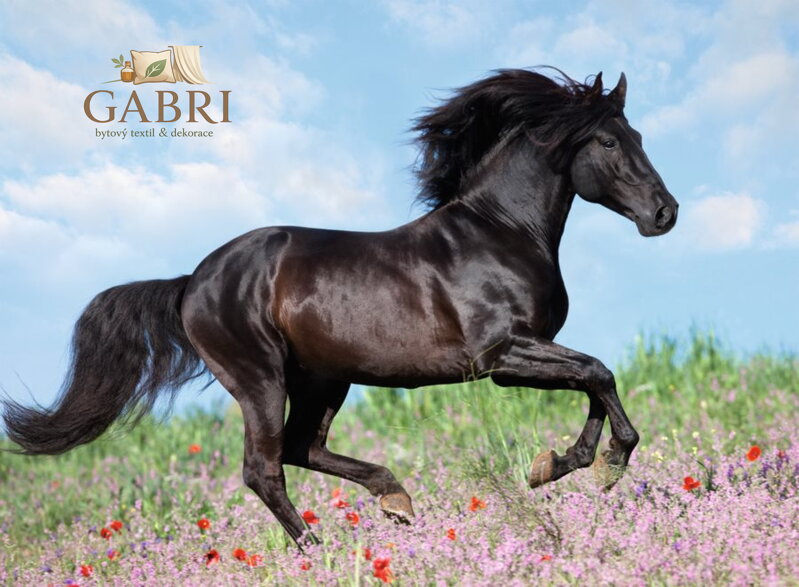 RAVENSBURGER Puzzle Černý hřebec XXL 200 dílků