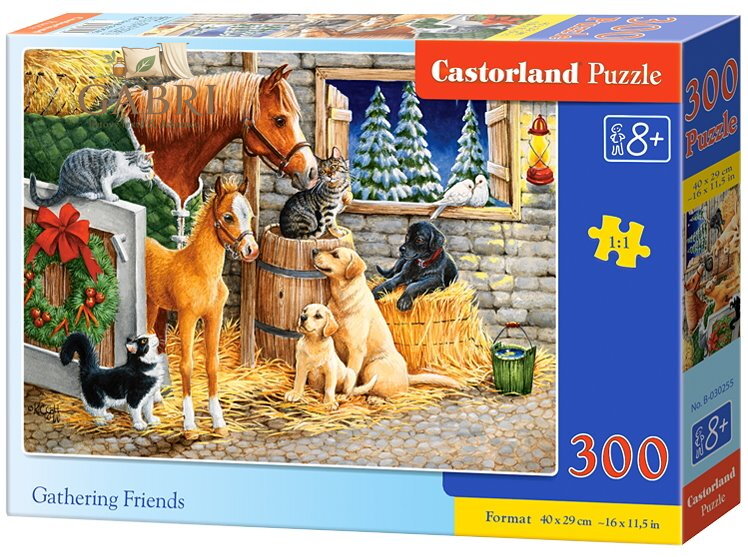 CASTORLAND Puzzle Setkání přátel ve stáji 300 dílků