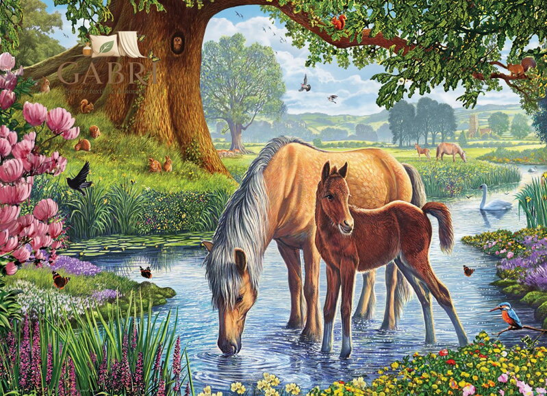 EUROGRAPHICS Puzzle Fellští poníci 1000 dílků