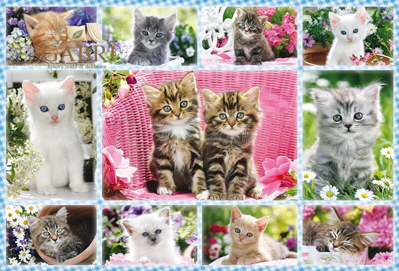 SCHMIDT Puzzle Koťata 100 dílků