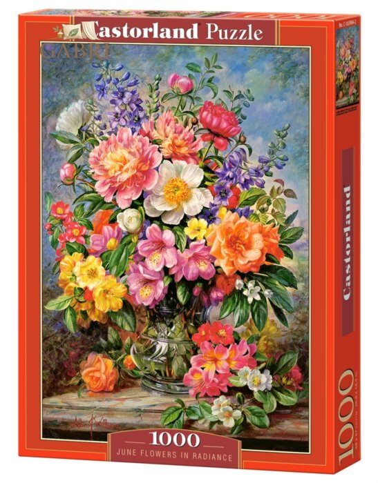 CASTORLAND Puzzle Červnové květiny 1000 dílků