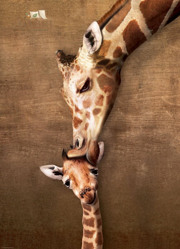 EUROGRAPHICS Puzzle Polibek žirafy 1000 dílků