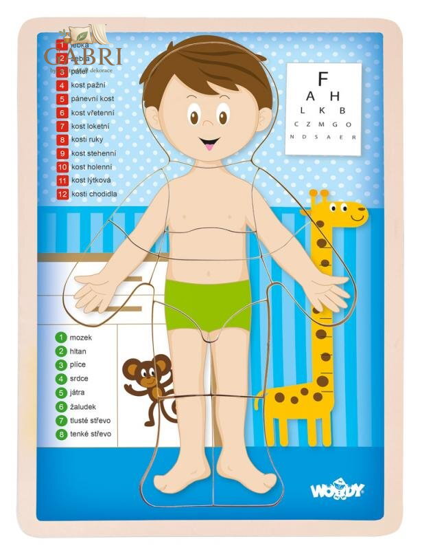 WOODY Oboustranné puzzle Lidské tělo - Chlapec