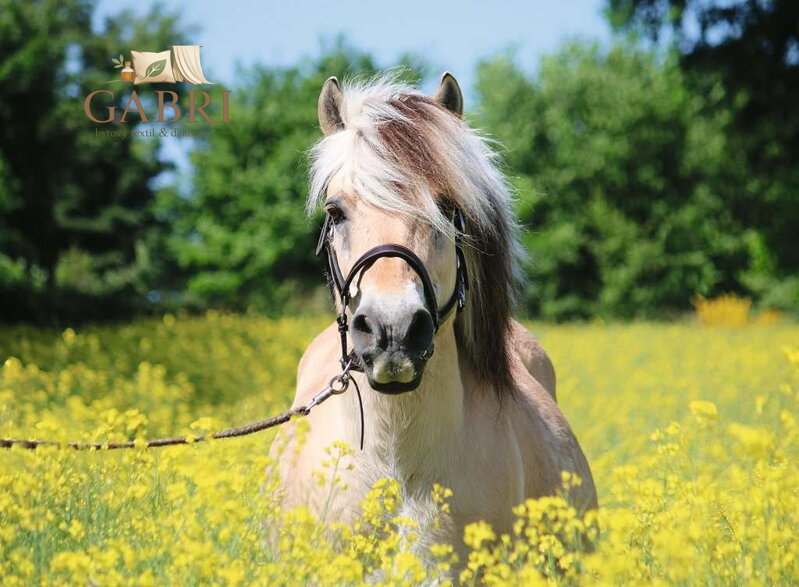 RAVENSBURGER Puzzle Bílý kůň 500 dílků