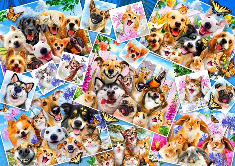 BLUEBIRD Puzzle Koláž zvířecích selfie 1000 dílků