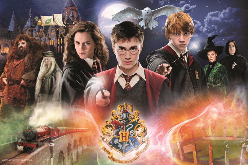 TREFL Puzzle Tajemný Harry Potter 300 dílků