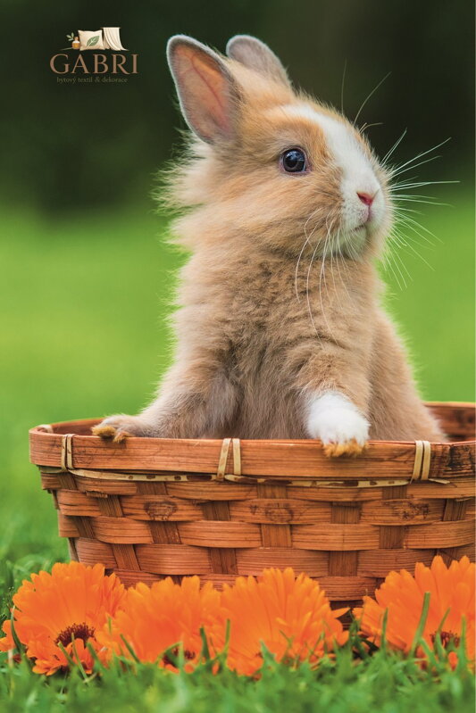 TREFL Puzzle Roztomilá zvířátka: Králíček v košíku 54 dílků