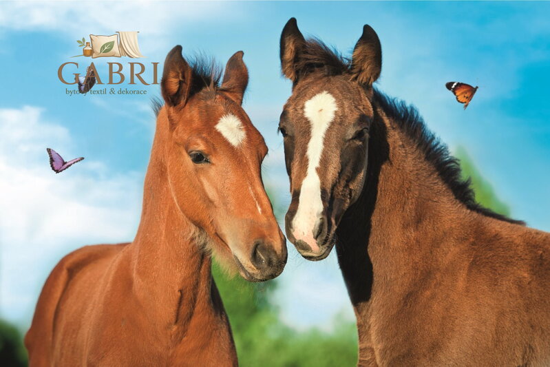 TREFL Puzzle Roztomilá zvířátka: Pár koní 54 dílků