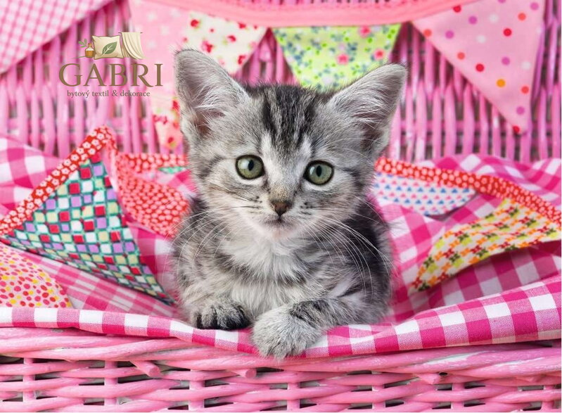 RAVENSBURGER Puzzle Roztomilé koťátko XXL 100 dílků