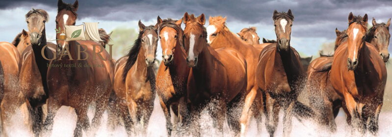 DINO Panoramatické puzzle Koně ve vodě 150 dílků