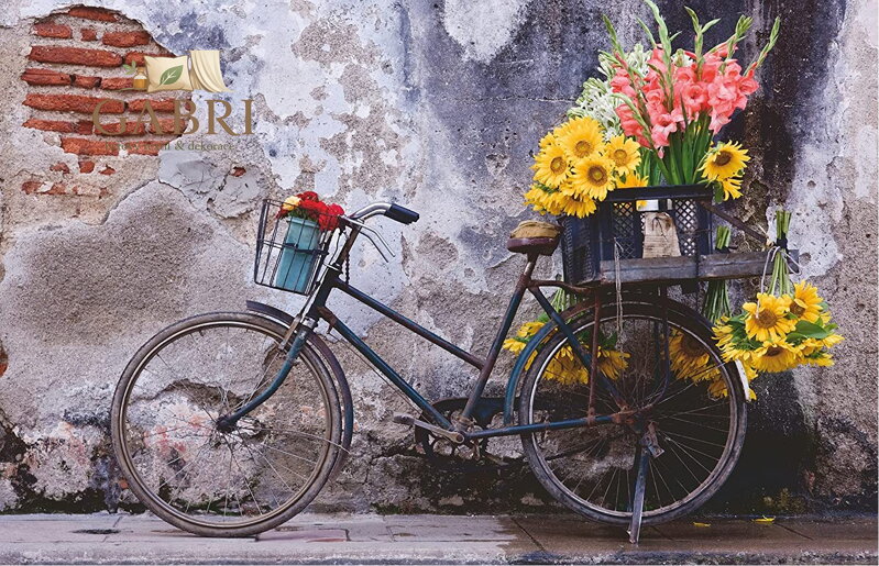 RAVENSBURGER Puzzle Moment: Kolo 200 dílků