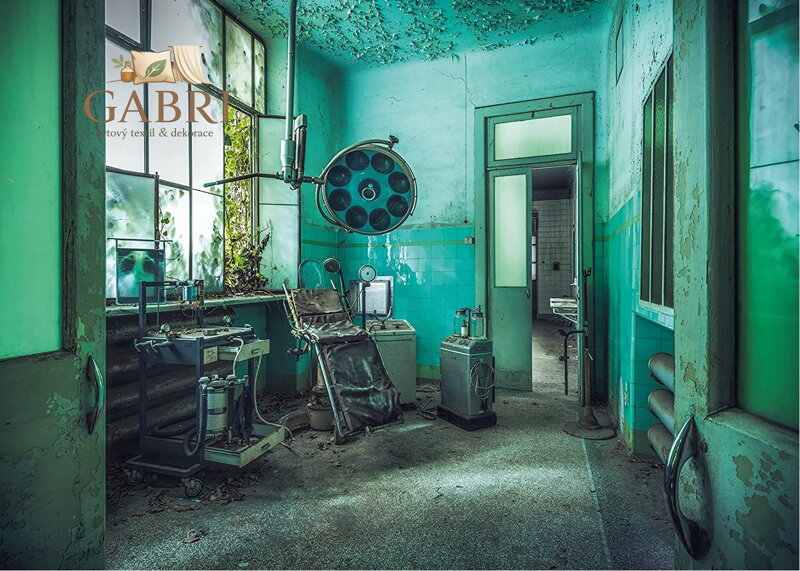 RAVENSBURGER Puzzle Ztracená místa: Blázinec 1000 dílků