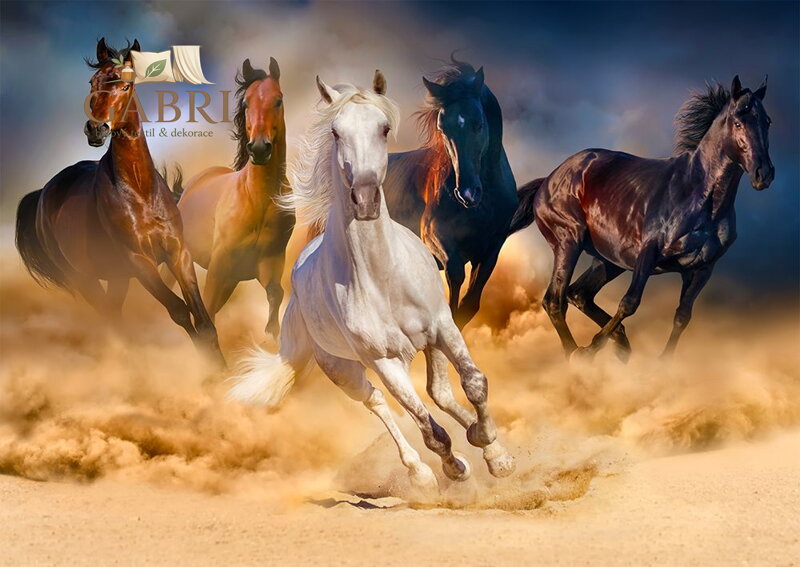 ENJOY Puzzle Koně cválající v poušti 1000 dílků