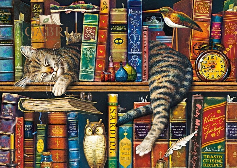 SCHMIDT Puzzle Frederick gramotný 1000 dílků