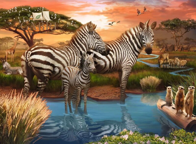 RAVENSBURGER Puzzle Zebry u napajedla 500 dílků