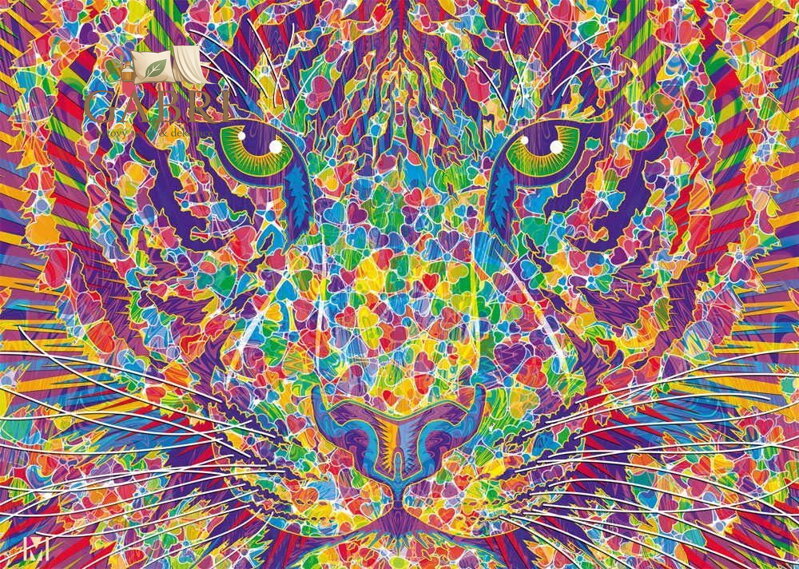 SCHMIDT Puzzle Divokost v tygřím srdci 2000 dílků