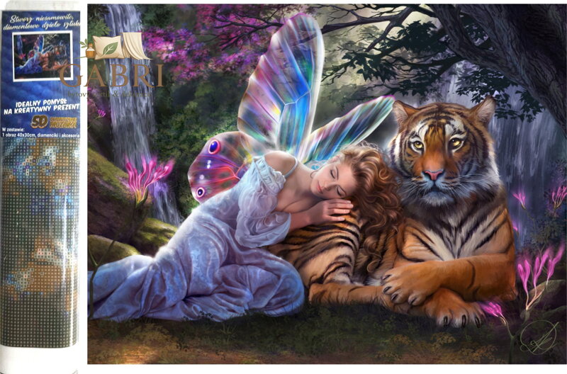 Norimpex Diamantové malování Motýlí víla 30x40cm