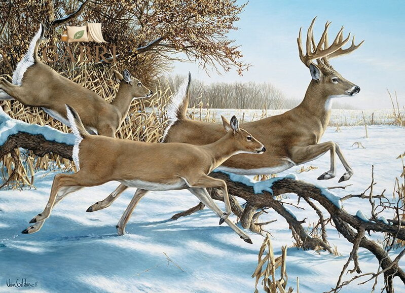 COBBLE HILL Puzzle Útěk 1000 dílků