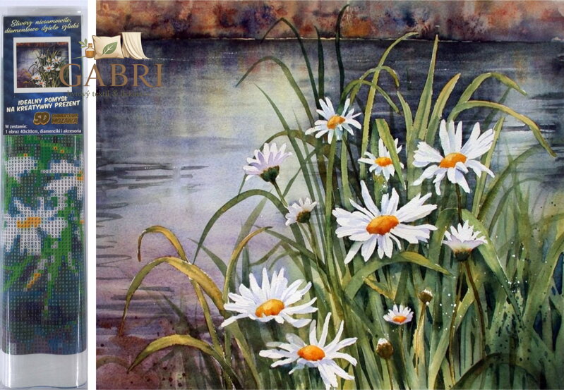 Norimpex Diamantové malování Kopretiny u vody 30x40cm