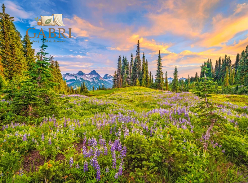 CASTORLAND Puzzle Ranní květy 2000 dílků