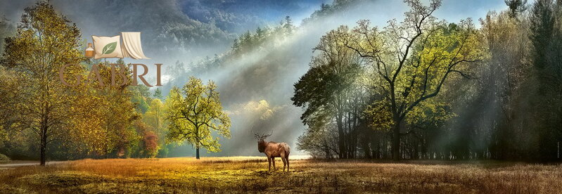 HEYE Panoramatické puzzle Ranní pozdravení 1000 dílků