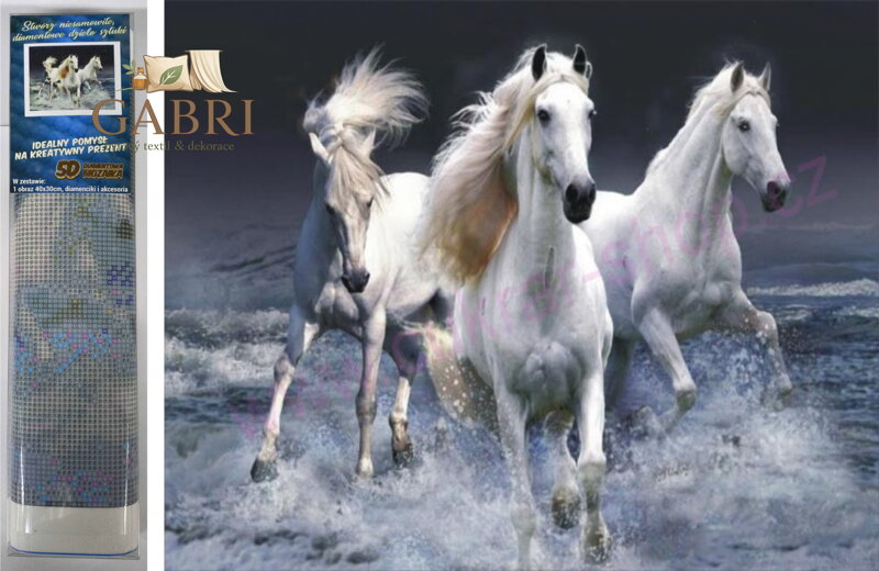 Norimpex Diamantové malování Cválající bělouši 30x40cm