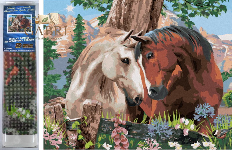 Norimpex Diamantové malování Koňské souznění 30x40cm