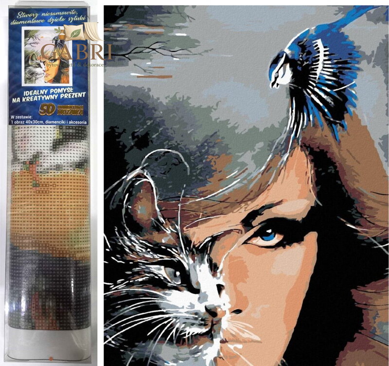 Norimpex Diamantové malování Kočičí pohled 30x40cm