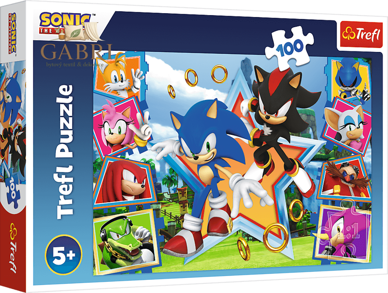 TREFL Puzzle Sonic: Seznamte se s ježkem 100 dílků
