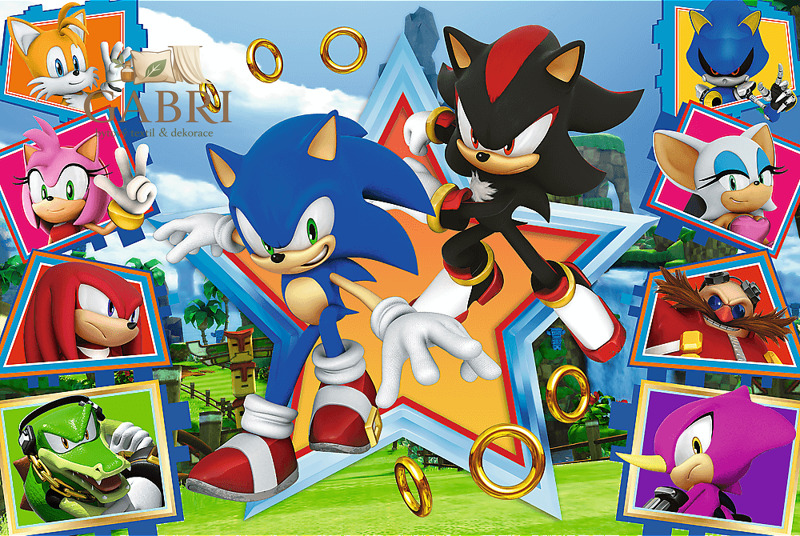 TREFL Puzzle Sonic: Seznamte se s ježkem 100 dílků