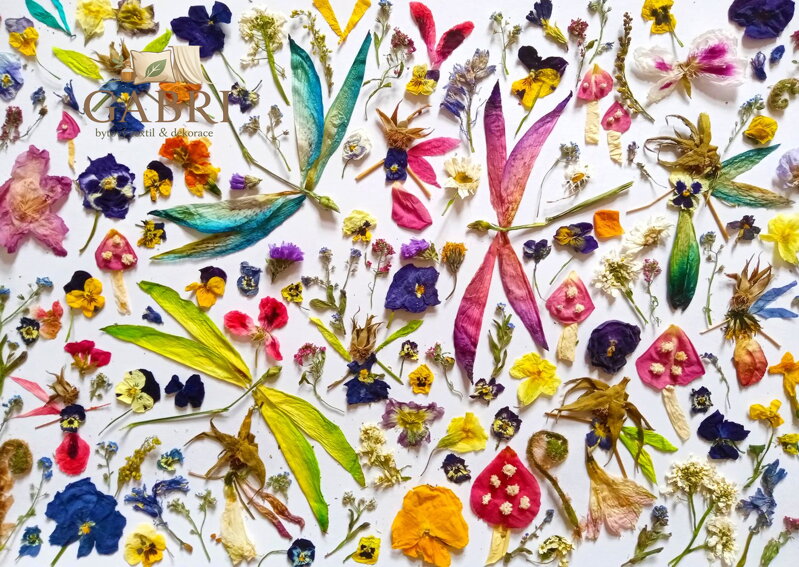 ENJOY Puzzle Víly a vážky 1000 dílků