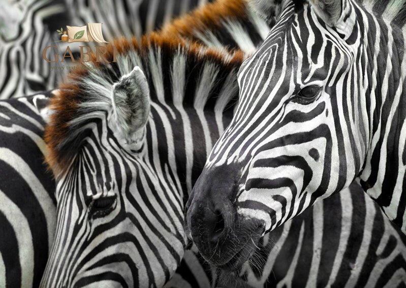 ENJOY Puzzle Zebry 1000 dílků