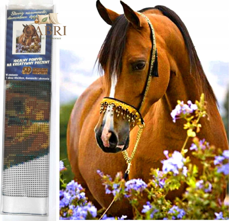 Norimpex Diamantové malování Koňská něha 30x40cm