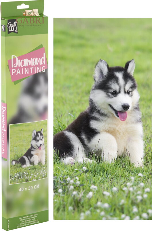 GRAFIX Diamantové malování Husky 40x50cm