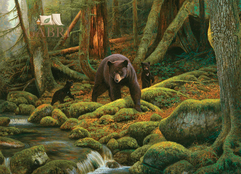 COBBLE HILL Puzzle Matka Příroda 1000 dílků