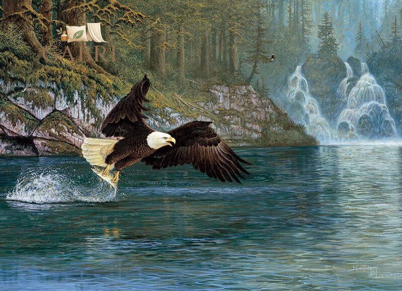 COBBLE HILL Puzzle Rybaření v letu 1000 dílků