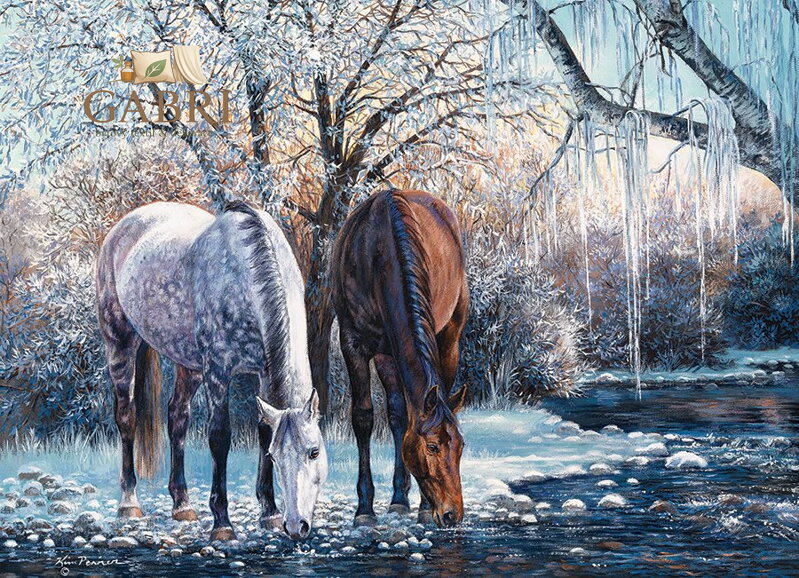 COBBLE HILL Puzzle Krása zimy 500 dílků