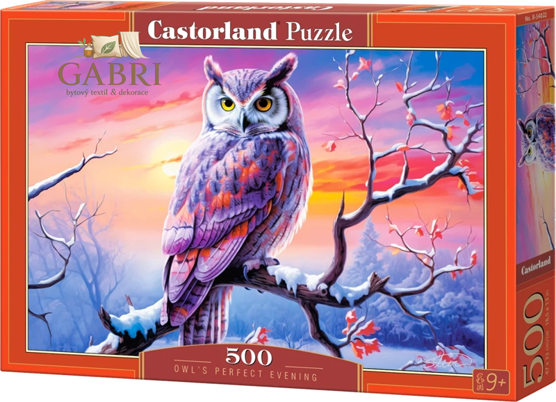 CASTORLAND Puzzle Dokonalý večer se sovou 500 dílků