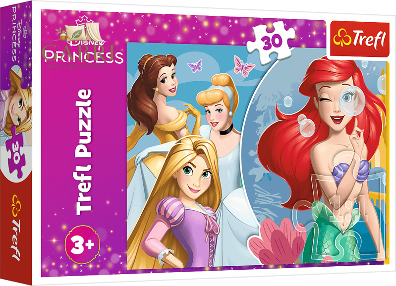 TREFL Puzzle Disney princezny: Krásný princeznovský den 30 dílků