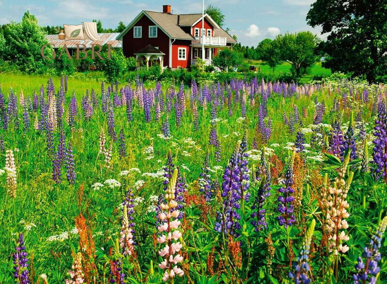 RAVENSBURGER Puzzle Skandinávie: Farma ve Švédsku 500 dílků