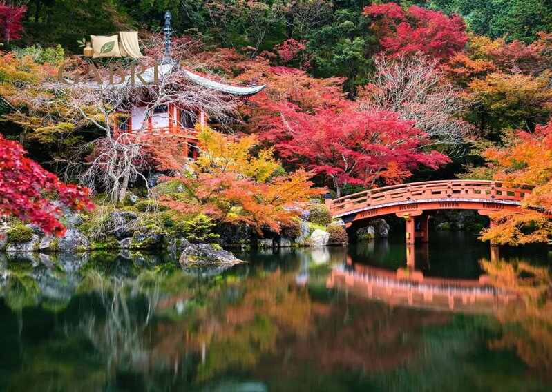 RAVENSBURGER Puzzle Kouzelné zahrady: Daigodži, Kjóto, Japonsko 1000 dílků